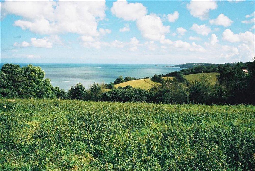 Crossways & Sea View Holiday Apartments Torquay Bagian luar foto
